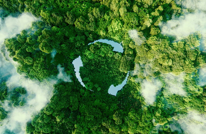 NOYAONEは環境配慮に取り組んでいます